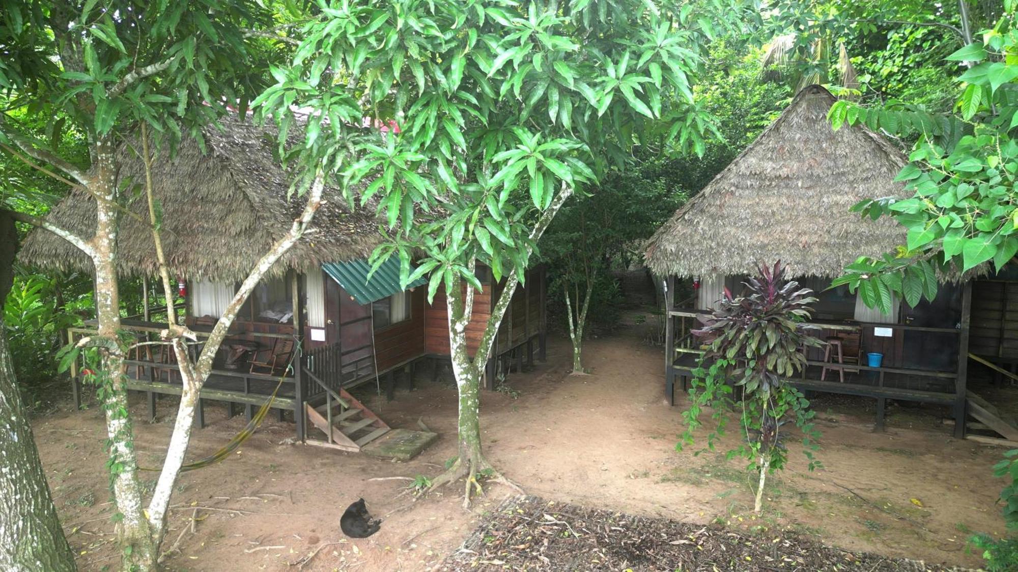 Tambopata River Puerto Maldonado Eksteriør billede