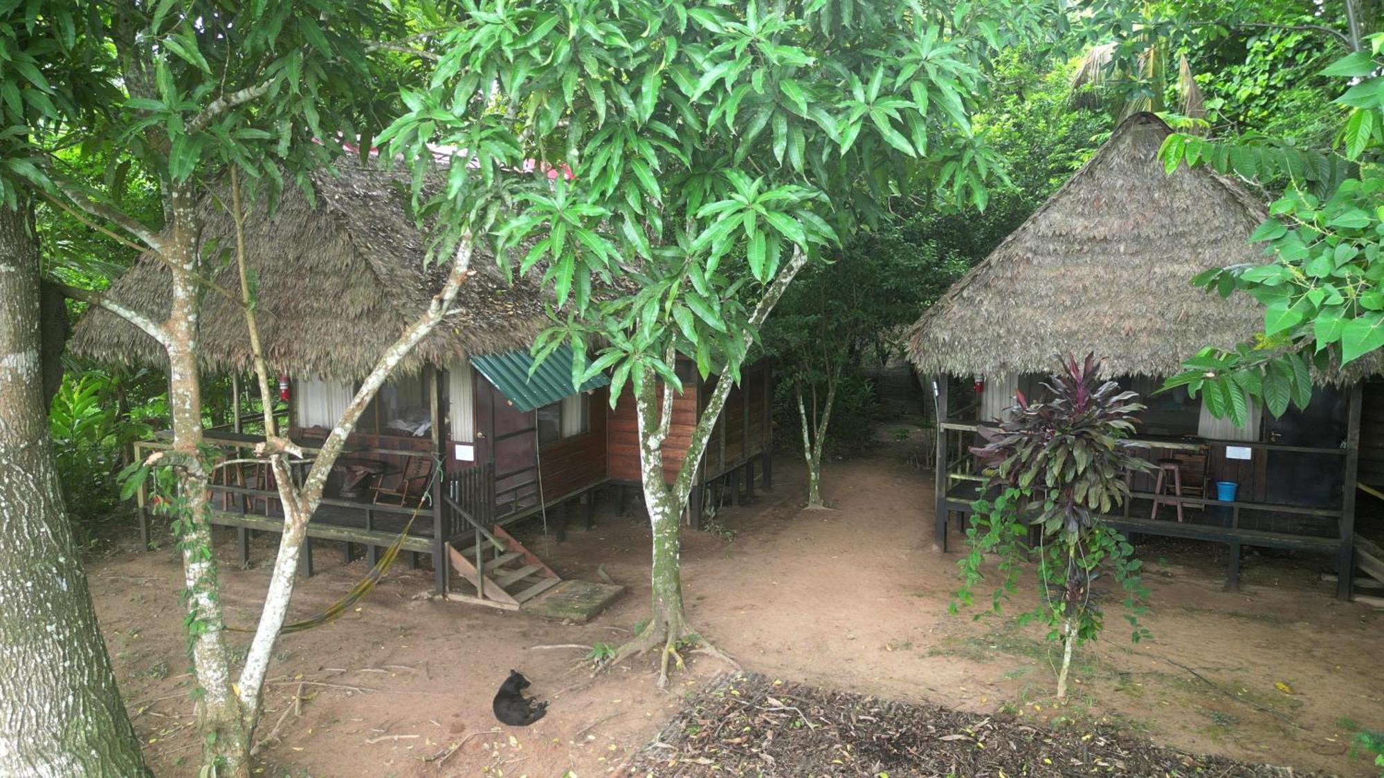 Tambopata River Puerto Maldonado Eksteriør billede