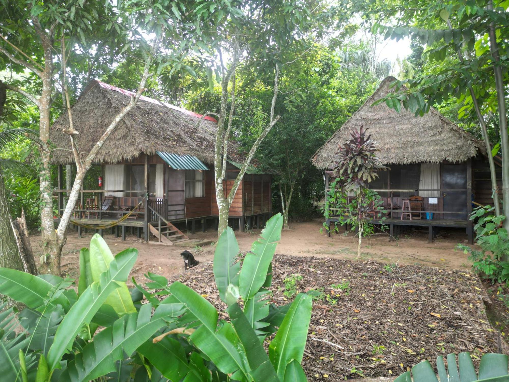 Tambopata River Puerto Maldonado Eksteriør billede