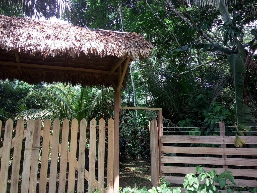 Tambopata River Puerto Maldonado Eksteriør billede