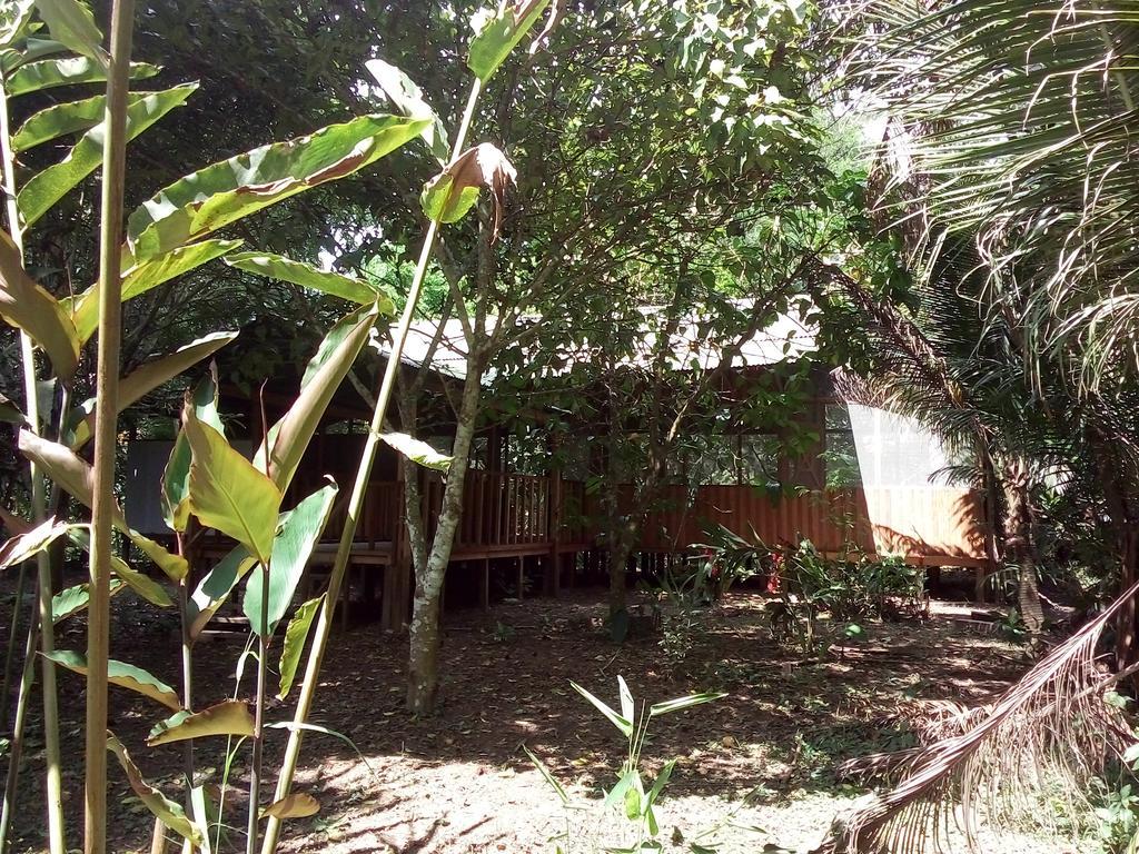 Tambopata River Puerto Maldonado Eksteriør billede