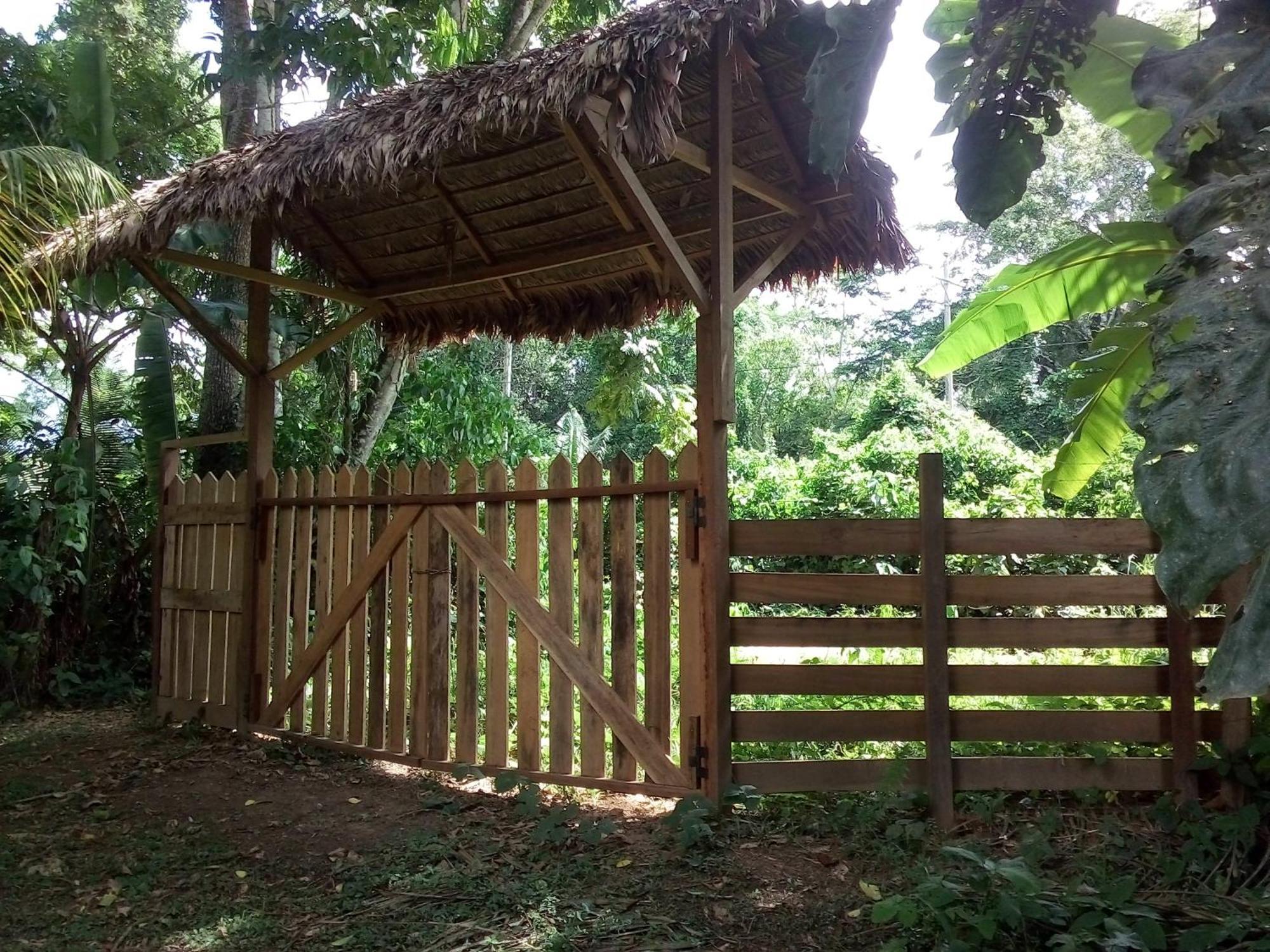 Tambopata River Puerto Maldonado Eksteriør billede