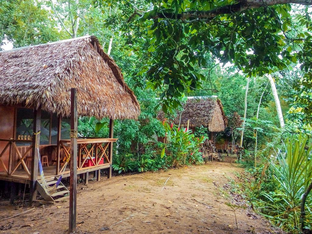 Tambopata River Puerto Maldonado Eksteriør billede