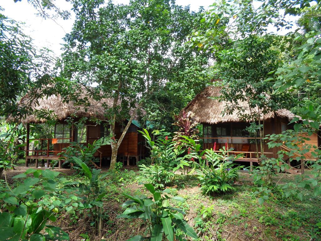 Tambopata River Puerto Maldonado Eksteriør billede