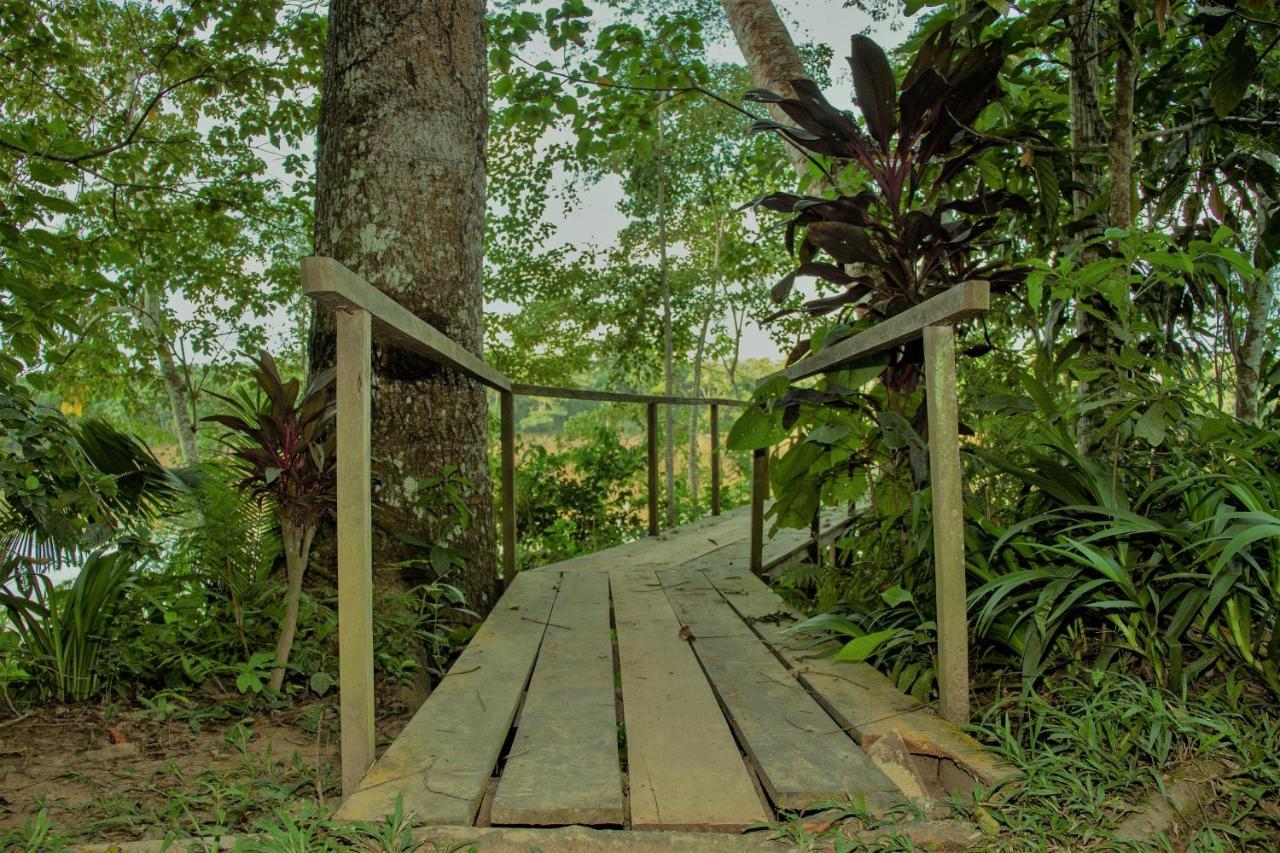 Tambopata River Puerto Maldonado Eksteriør billede