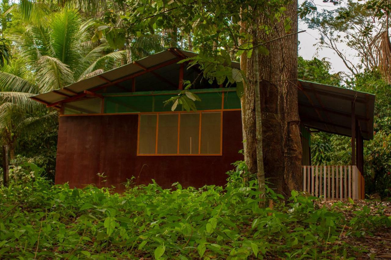 Tambopata River Puerto Maldonado Eksteriør billede